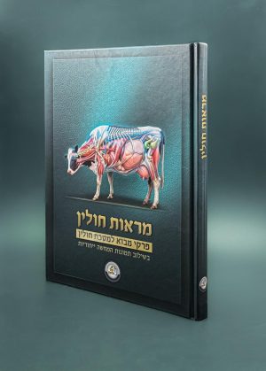 מראות חולין - פרקי מבוא למסכת חולין בליווי תמונות