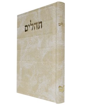 תהילים סקאי בינת הלב כותל (12×17 ס"מ)