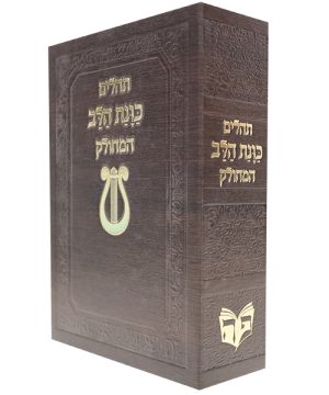 תהילים סקאי כוונת הלב המחולק (12×17 ס"מ)