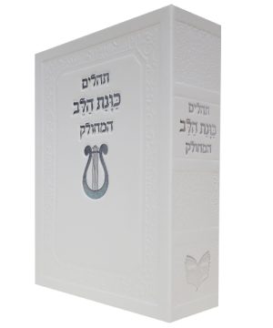 תהילים סקאי כוונת הלב המחולק (12×17 ס"מ)