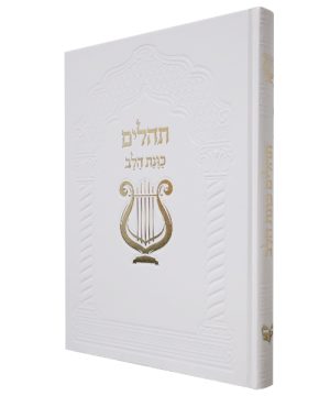 תהילים סקאי כוונת הלב ענק 30*22