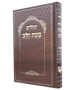 תהילים סקאי כוונת הלב (21×14 ס"מ)