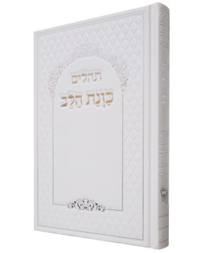 תהילים סקאי כוונת הלב (21×14 ס"מ)