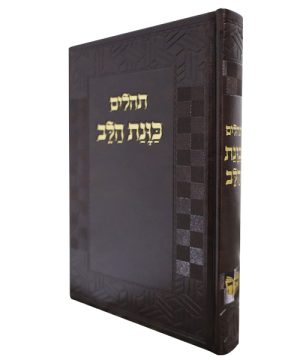 תהילים פיו כוונת הלב גדול (21×14 ס"מ)
