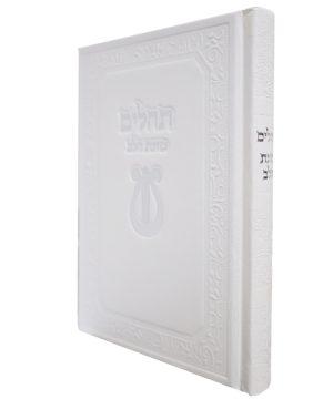 תהילים סקאי כוונת הלב (12×17 ס"מ)