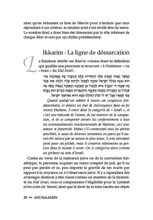 Ani Maamin: A Mission for Life: French Edition – תמונה 5