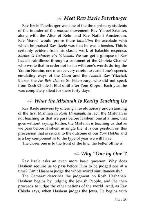 The Mystery and the Majesty – תמונה 4