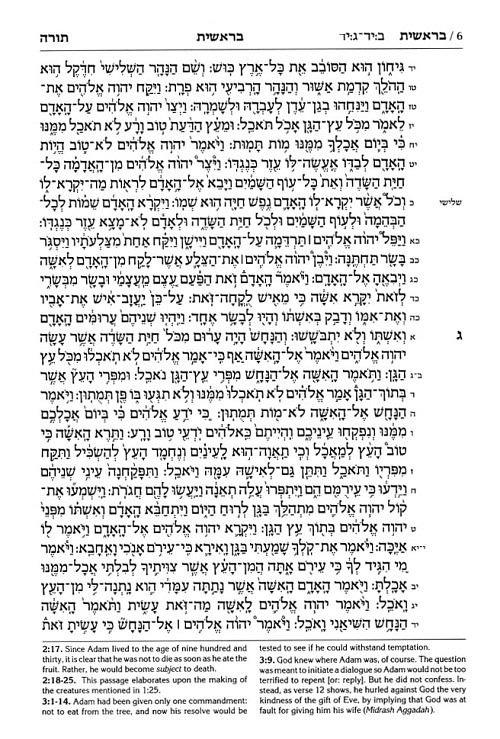 Stone Edition Tanach – Student Size Edition – Maroon Leather – תמונה 7