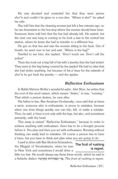 Perspectives of the Maggid – תמונה 6