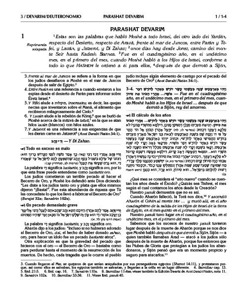 Spanish Edition of Chumash with the Teachings of the Talmud -Wengrowsky Edition – תמונה 3