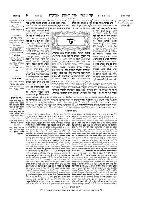 Schottenstein Talmud Yerushalmi – English Edition Daf Yomi Size – Tractate Shviis vol 1 (1a-41b) – תמונה 3
