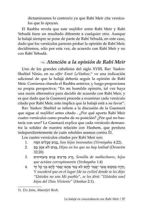 Rebbi Meir Baal Haness and the Eternal Children of Hashem- Spanish Edition – תמונה 4