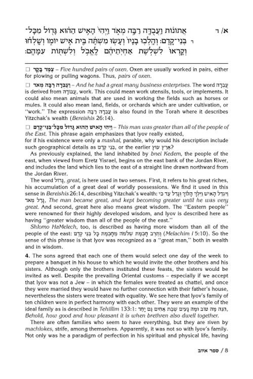Rav Schwab on Iyov – תמונה 11