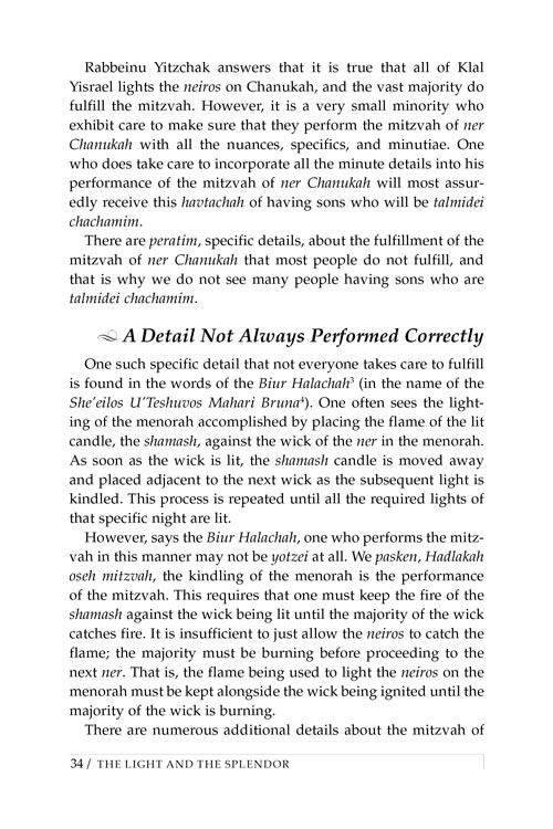 The Light and the Splendor – תמונה 4