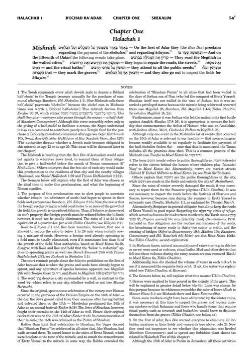 Schottenstein Talmud Yerushalmi – English Edition Daf Yomi Size – Tractate Shekalim – תמונה 2