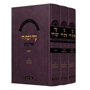בן איש חי ועוד יוסף חי מאיר עיניים 3 כרכים