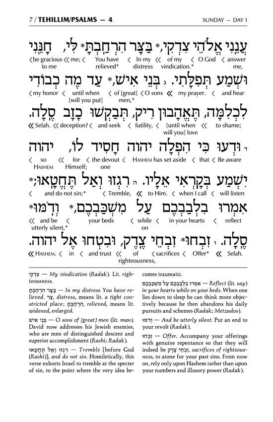 Interlinear Tehillim / Psalms Pocket Size, Hard Cover The Schottenstein edition – תמונה 7