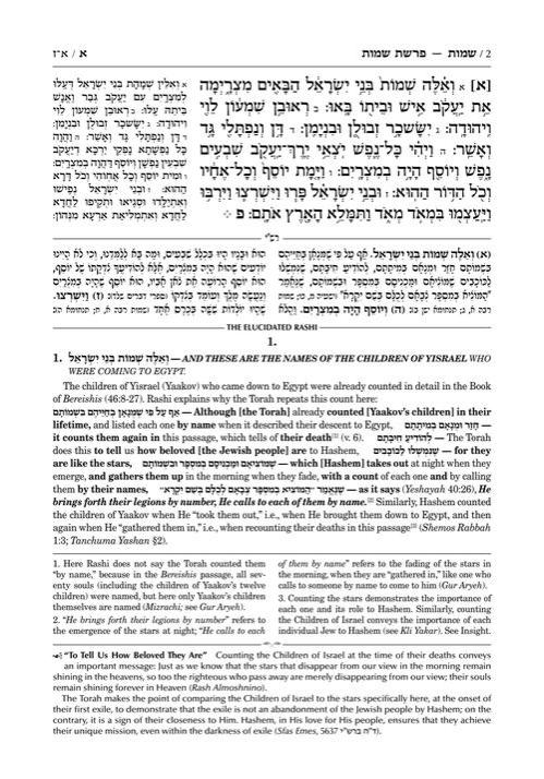 Student Size – Schottenstein Edition The Elucidated Rashi on Chumash – Shemos volume 1: Shemos– Yisro – תמונה 2