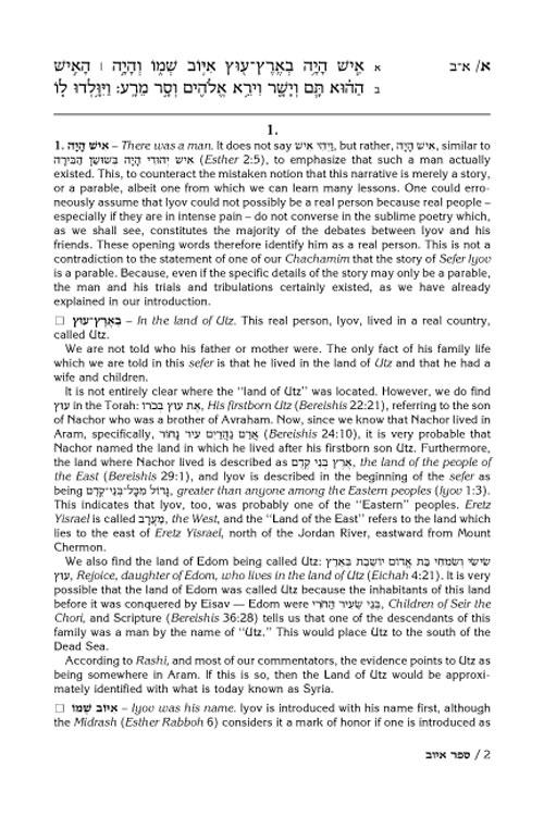 Rav Schwab on Iyov – תמונה 2