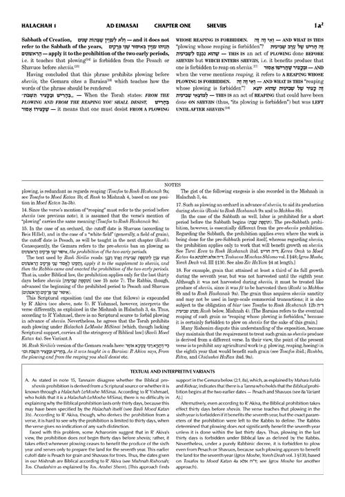Schottenstein Talmud Yerushalmi – English Edition Daf Yomi Size – Tractate Shviis vol 1 (1a-41b) – תמונה 4
