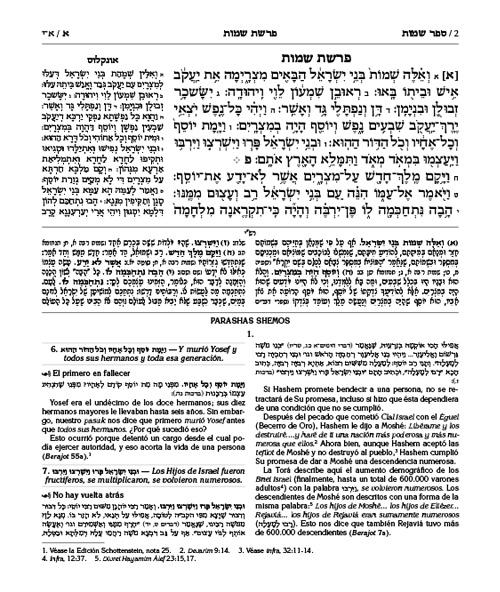 Spanish Edition of Chumash with the Teachings of the Talmud -Wengrowsky Edition – תמונה 2