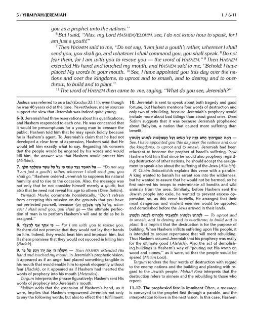 The Milstein Edition of the Later Prophets: The Book of Jeremiah / Yirmiyah – תמונה 6