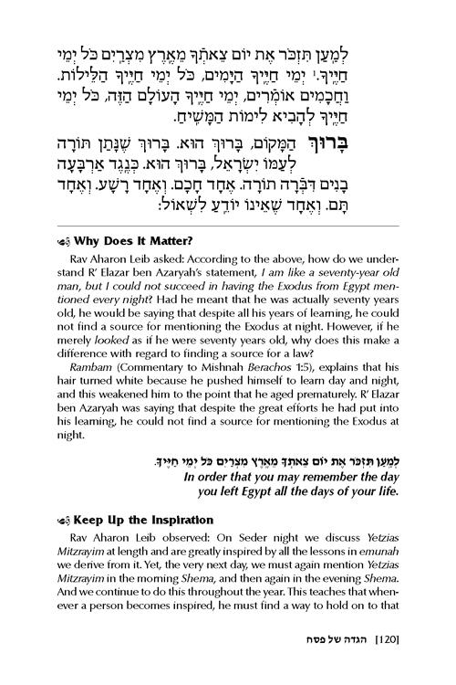 The Reb Aharon Leib Haggadah – תמונה 4