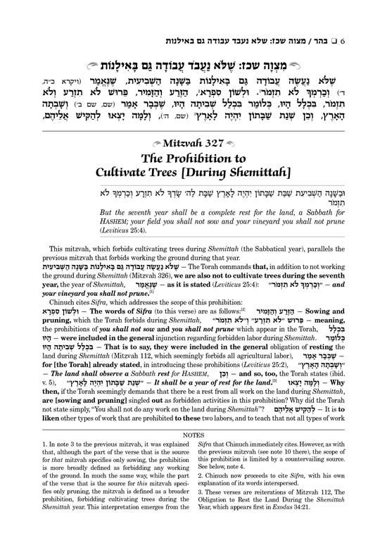 Sefer Hachinuch / Book of Mitzvos Schottenstein Edition – Volume #6 – תמונה 5