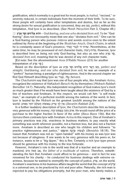 Rav Schwab on Iyov – תמונה 7