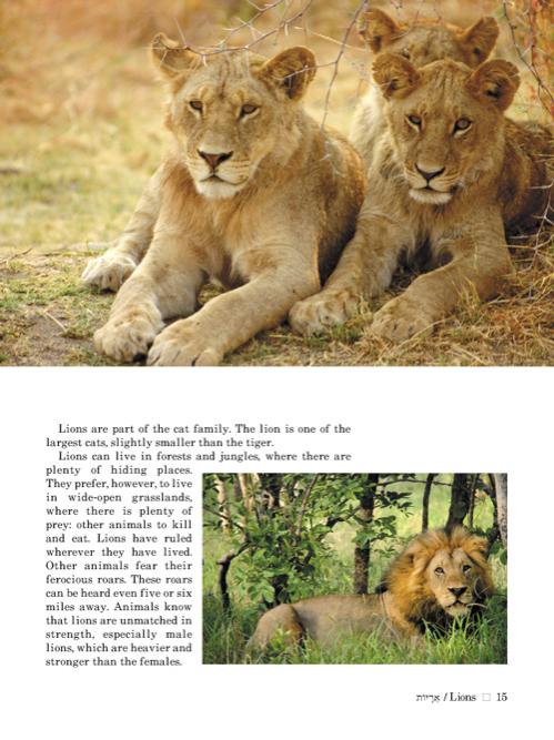 Take Me to the Zoo – תמונה 9