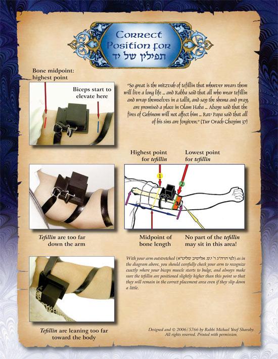 The Life Cycle Series Slipcased Set – תמונה 2