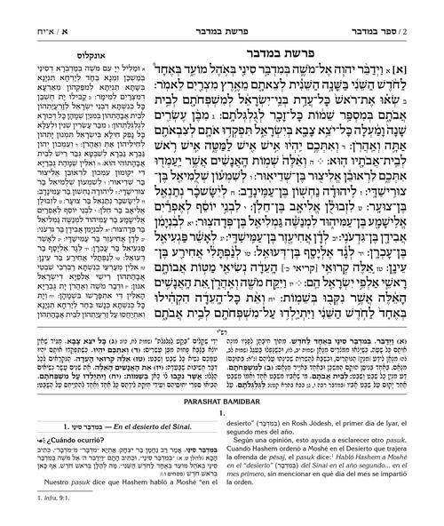 Spanish Edition of Chumash with the Teachings of the Talmud -Wengrowsky Edition – תמונה 2