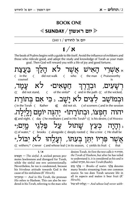 Interlinear Tehillim /Psalms Full Size The Schottenstein Edition – Signature Leather – Iris Purple – תמונה 2