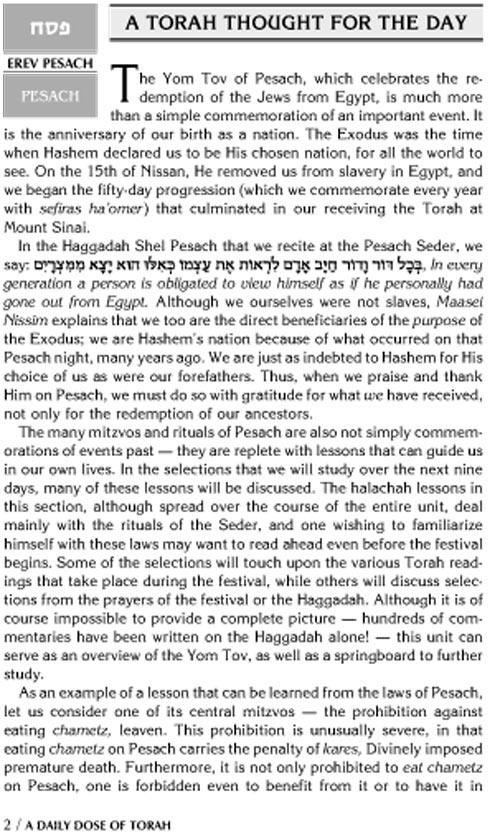 A DAILY DOSE OF TORAH SERIES 1 Vol 14: The Festivals and Days of Awe – תמונה 2