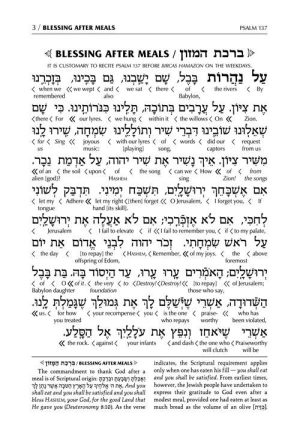 Schottenstein Ed Interlinear Birchon – White Blank Cover