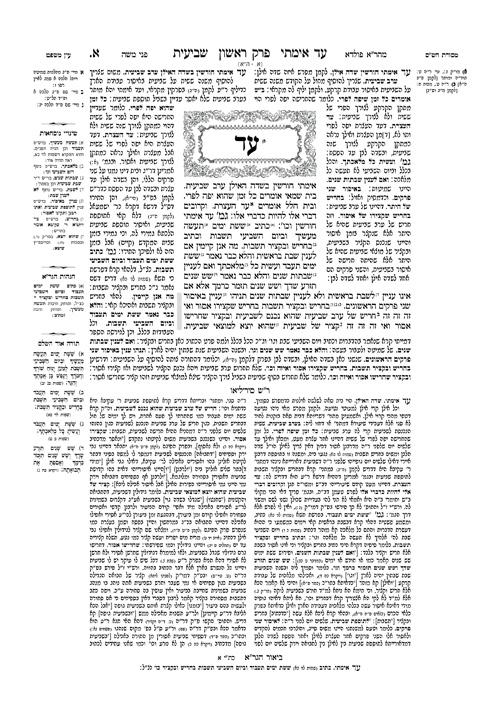 Schottenstein Talmud Yerushalmi – English Edition Daf Yomi Size – Tractate Shviis vol 1 (1a-41b) – תמונה 5