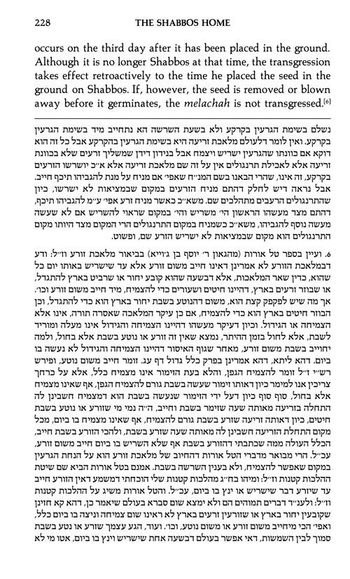 The Shabbos Home Volume 2 – תמונה 6