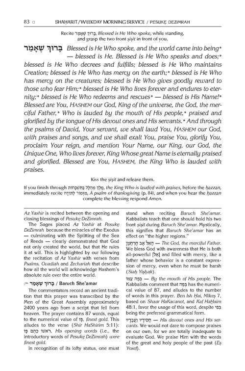 The ArtScroll Sephardic Siddur – Schottenstein Edition – Sig Leather – Glacier G – תמונה 6