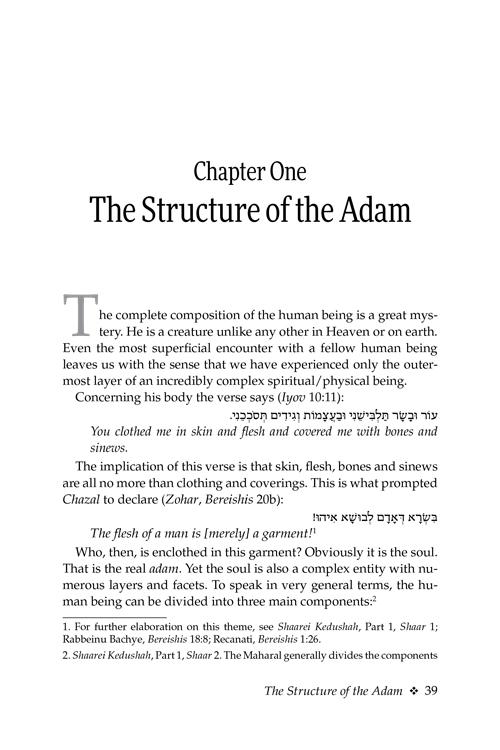 Guiding With Wisdom – תמונה 2