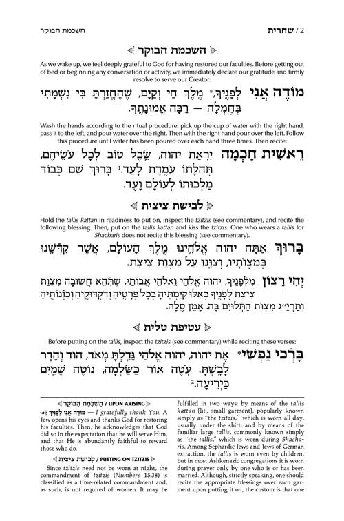 Siddur Heb./Eng. Full Size Sef. Signature Leather Royal Brown – תמונה 2