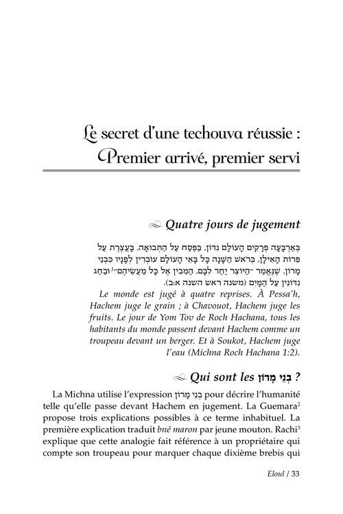 The Mystery and the Majesty – French Edition – תמונה 2
