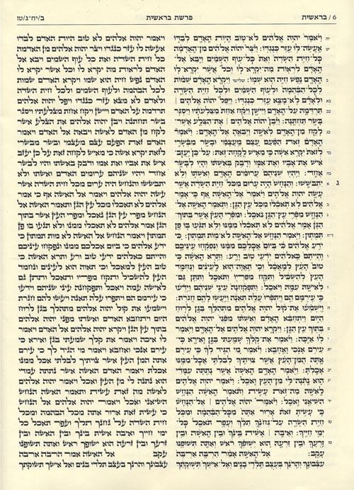 The Kestenbaum Edition TIKKUN – תמונה 9