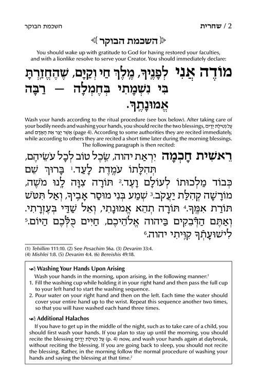 Siddur Chaya Hinda U’Breindel: All Hebrew Women’s Siddur with English Instructions – Pink- Sefard – תמונה 2