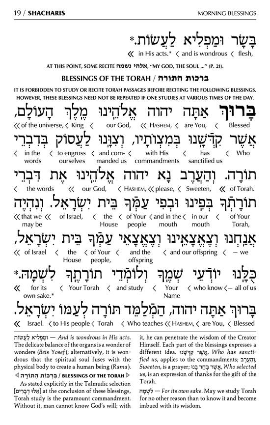 Schottenstein Edition Interlinear Shabbos Siddur Pocket Size Ashkenaz following the Customs of Eretz Yisroel – תמונה 6