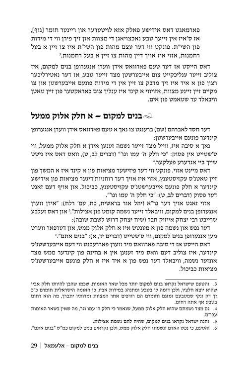 Rebbi Meir Baal Haness – Yiddish Edition – תמונה 4