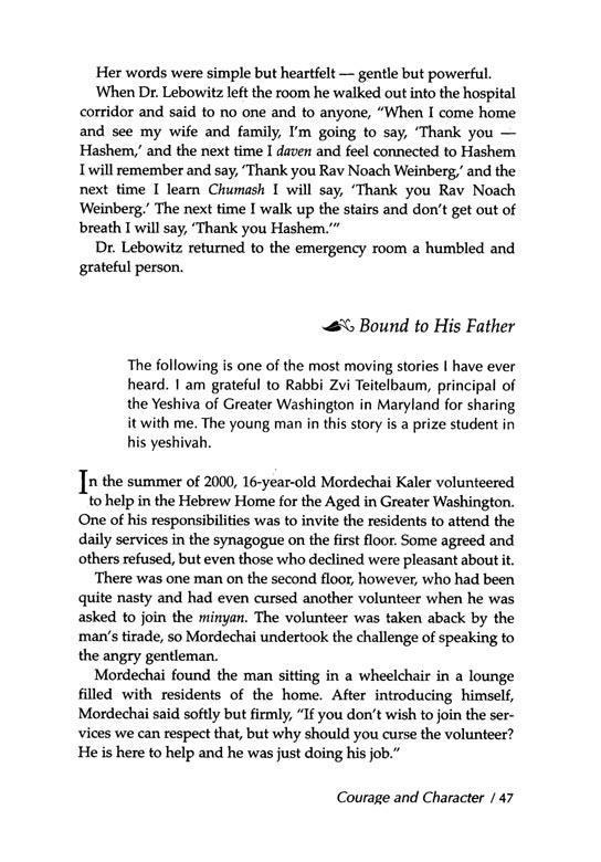 Reflections of the Maggid – תמונה 5