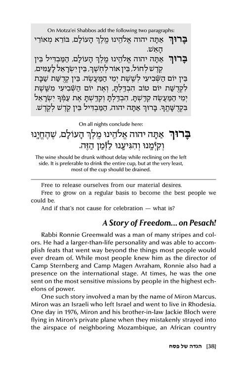 The Haggadah with Stories – תמונה 4