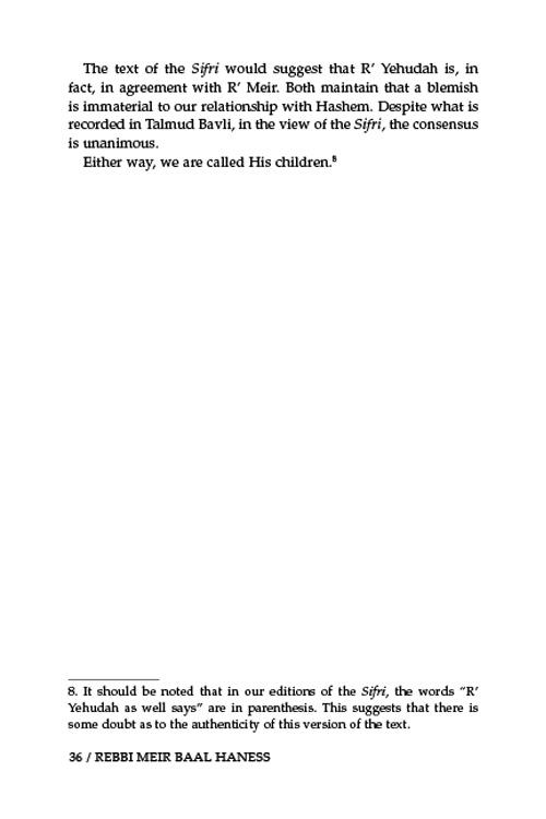 Rebbi Meir Baal Haness and the Eternal Children of Hashem – תמונה 7