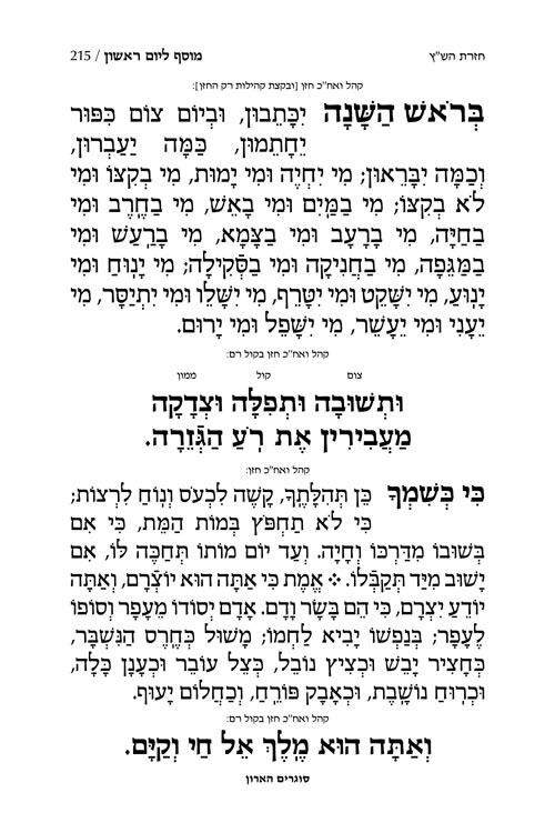 סט מחזורים ספרד עברית בלבד – תמונה 3