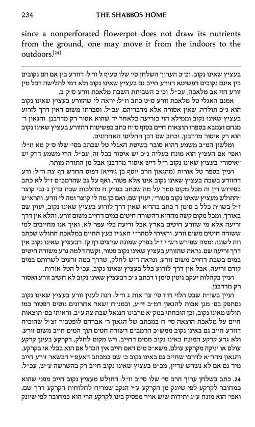 The Shabbos Home Volume 2 – תמונה 3